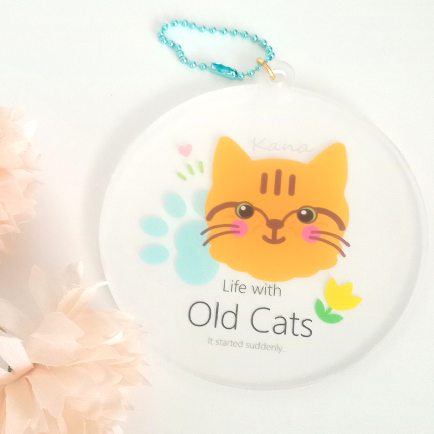 １ カナちゃん (KH01CSFKA) Life with Old Cats