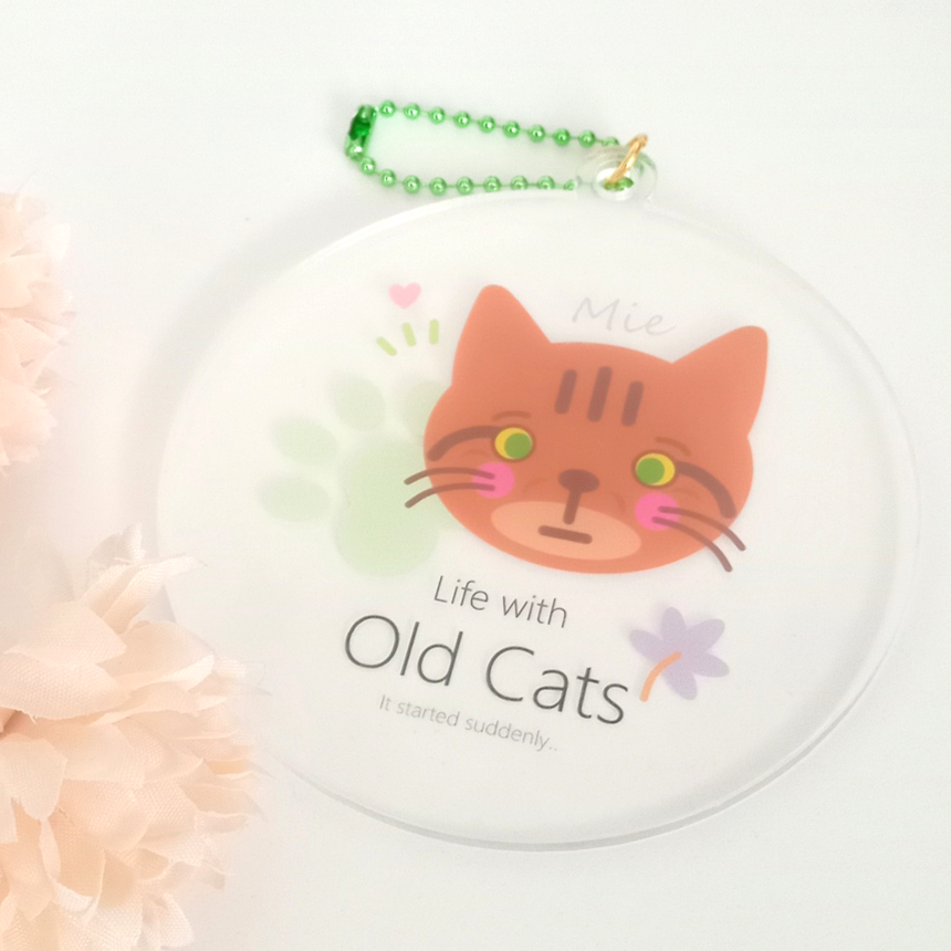１ ミーちゃん (KH02CSFMI) Life with Old Cats