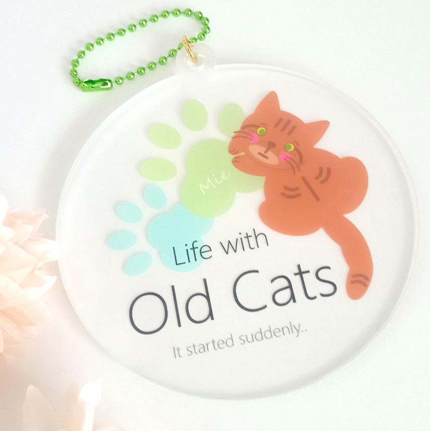 ２ ミーちゃん (KH02CLFMI) Life with Old Cats