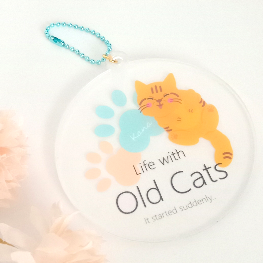 ２ カナちゃん (KH02CSFKA) Life with Old Cats