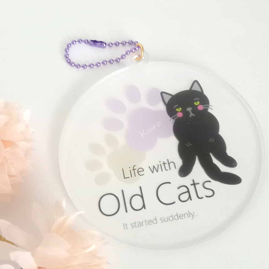 ２ クロちゃん (KH02CSFKU) Life with Old Cats