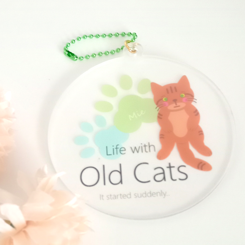 ２ ミーちゃん (KH02CSFMI) Life with Old Cats