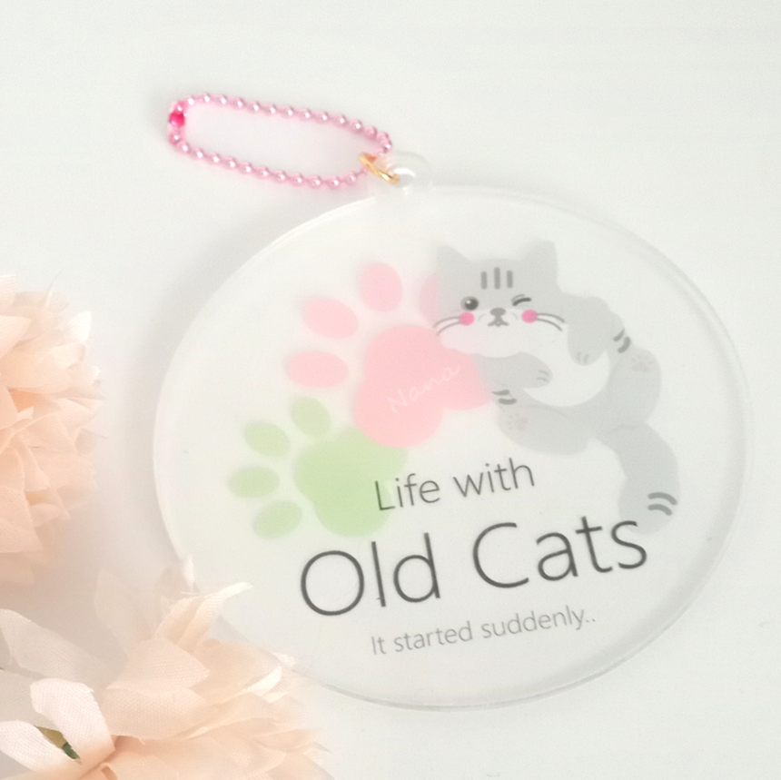 ２ ナナちゃん (KH02CSFNA) Life with Old Cats