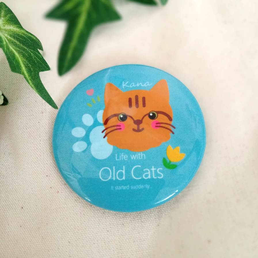 １ カナちゃん (TB01CSFKA) Life with Old Cats