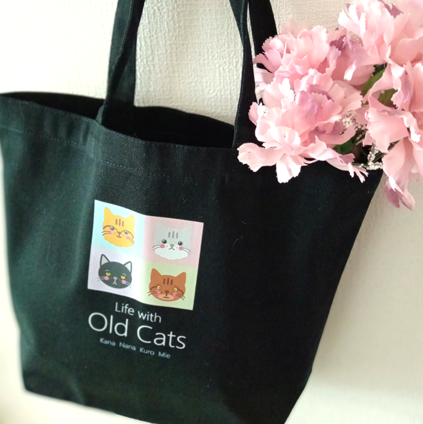 ２ メインＳ (TB02SBFLT) Life with Old Cats