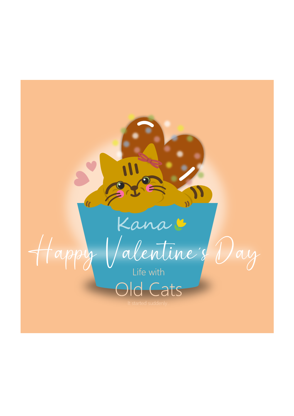 #18 カナちゃん - Life with Old Cats