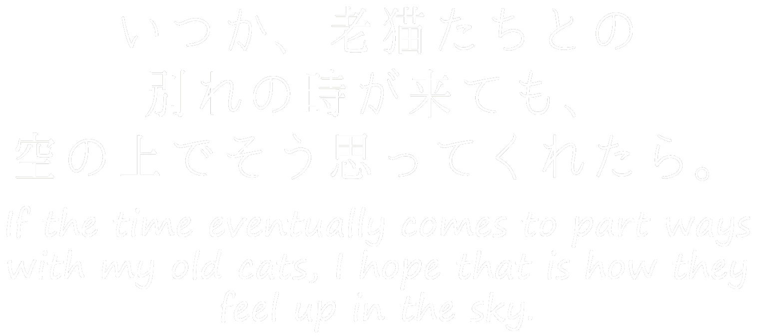 いつか、老猫たちとの別れの時が来ても、空の上でそう思ってくれたら。 If the time eventually comes to part ways with my old cats, I hope that is how they feel up in the sky.