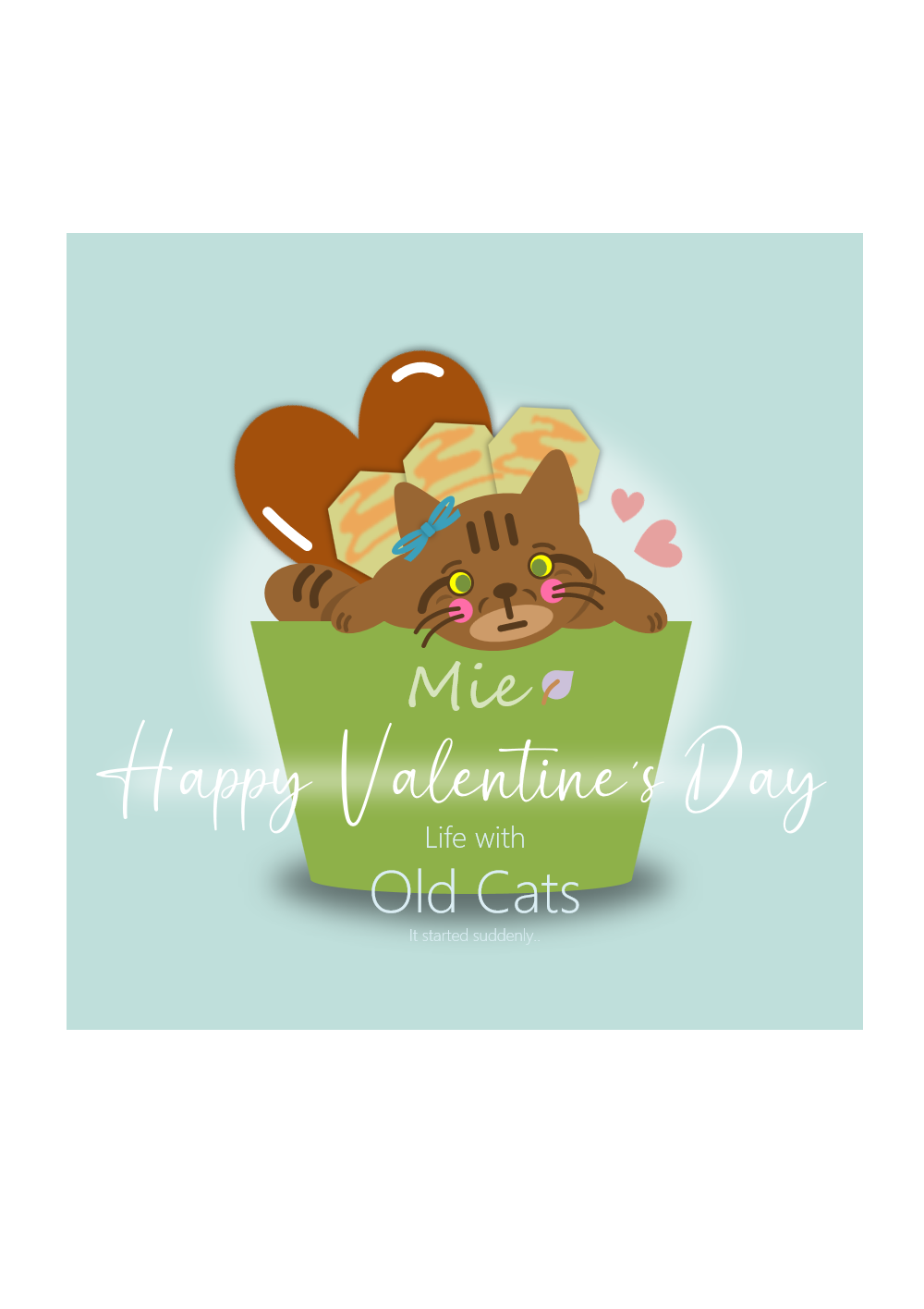 #18 ミーちゃん - Life with Old Cats